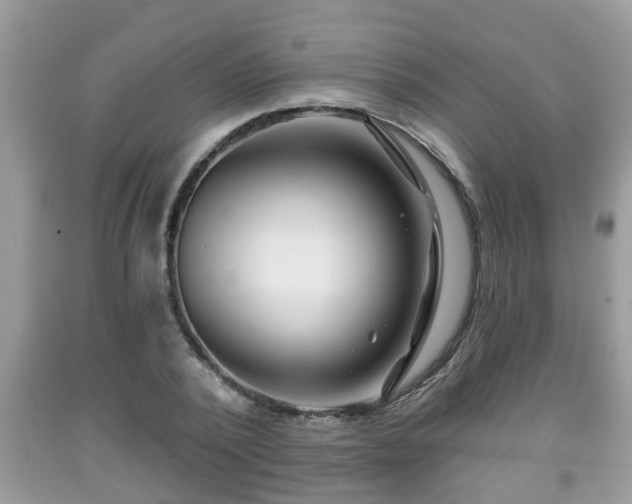 X0000091970784200709131337