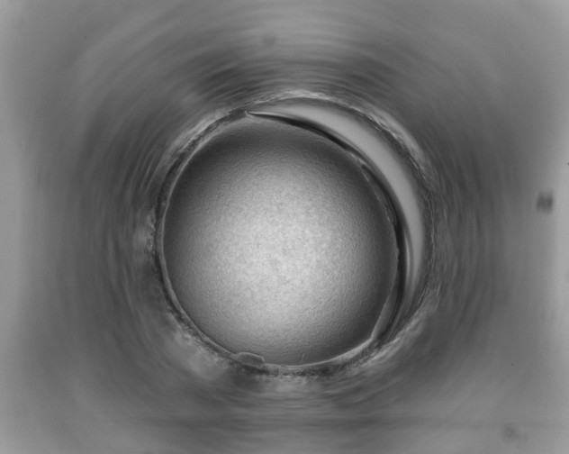 X0000091970785200709131337