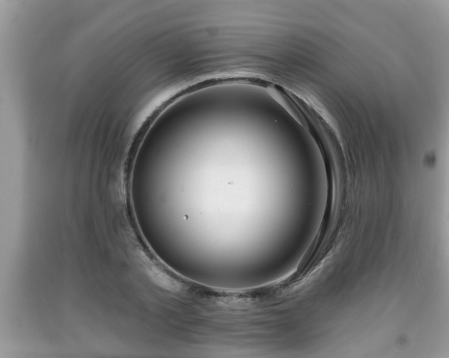 X0000091970789200709131337