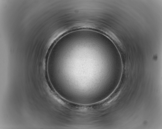 X0000091970790200709131337