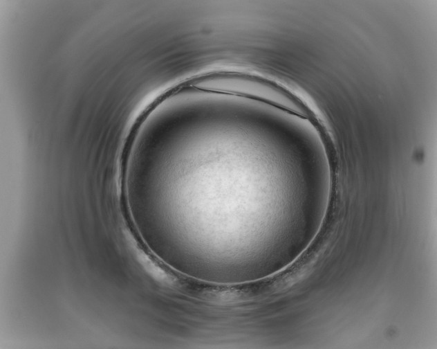 X0000091970791200709131337