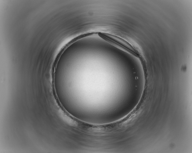 X0000091970792200709131337