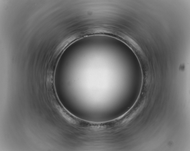 X0000091970793200709131337
