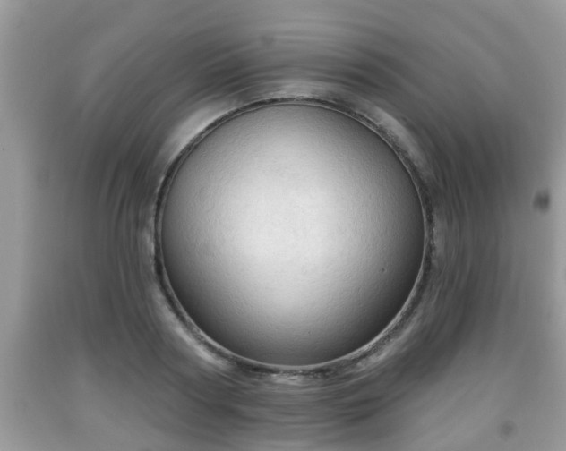 X0000091970794200709131337