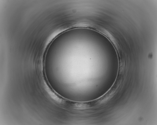 X0000091970795200709131337