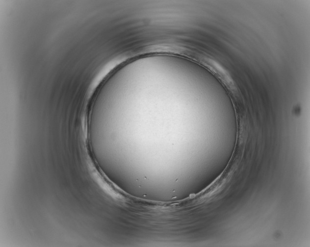 X0000091970796200709131337
