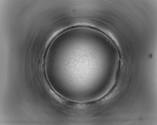 X0000091970799200709131337