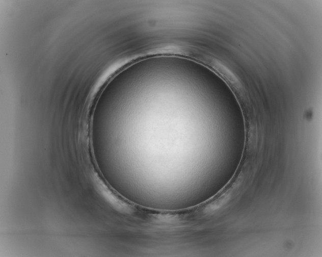 X0000091970800200709131337