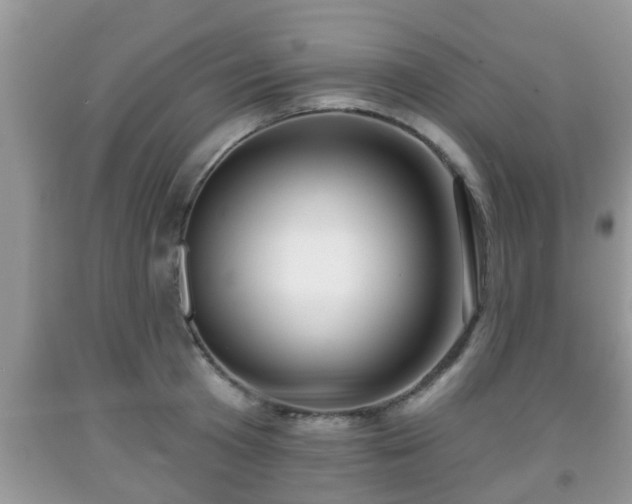 X0000091970801200709131337