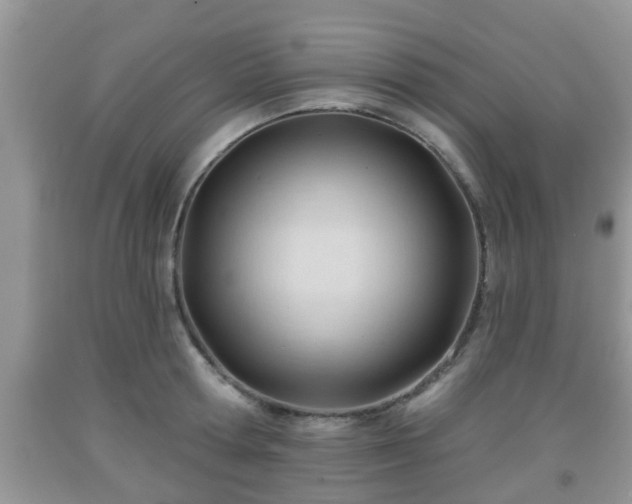 X0000091970802200709131337