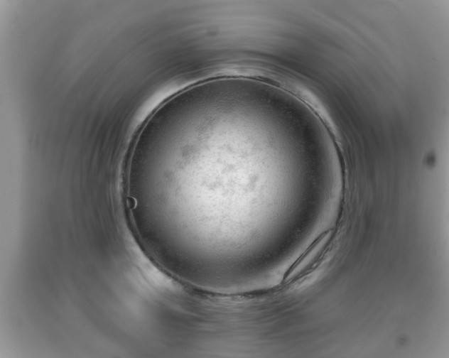 X0000091970803200709131337
