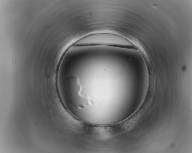 X0000091970805200709131337