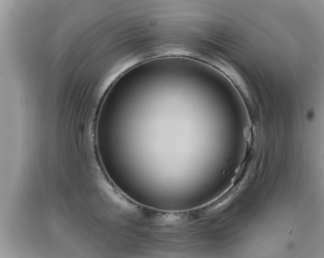 X0000091970806200709131337