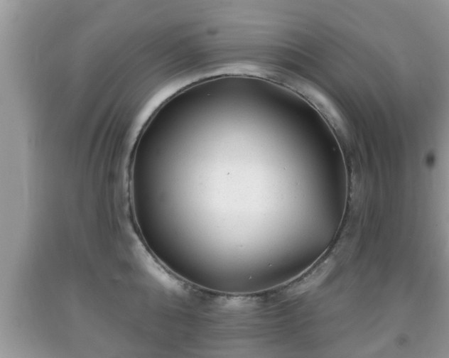 X0000091970808200709131337