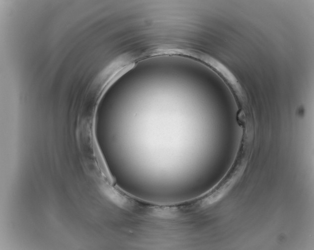 X0000091970809200709131337