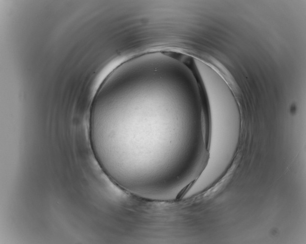 X0000091970812200709131337