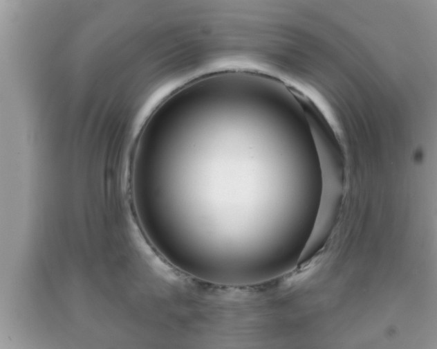 X0000091970815200709131337