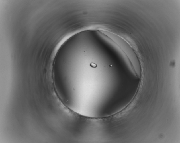 X0000091970816200709131337