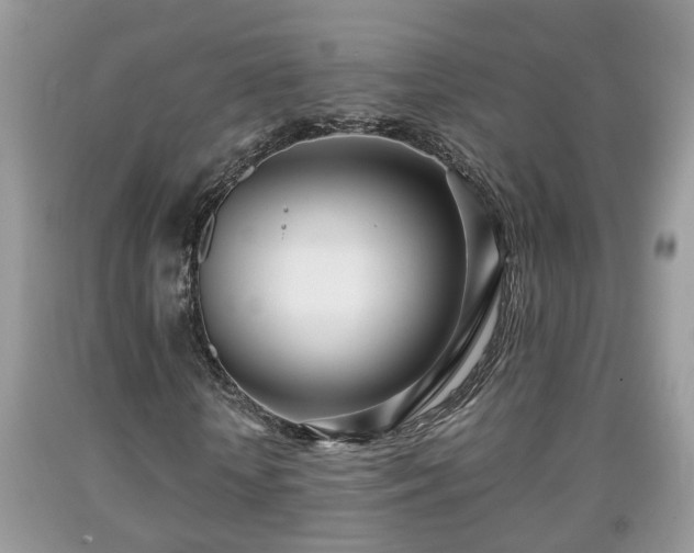 X0000091970818200709131336