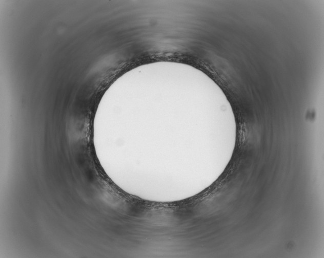 X0000091970820200709131336