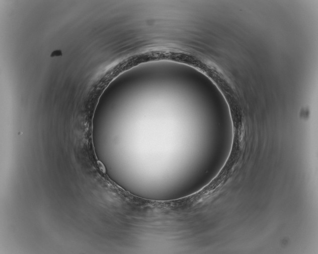 X0000091970822200709131336
