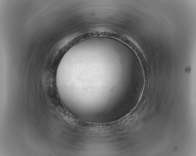 X0000091970823200709131336