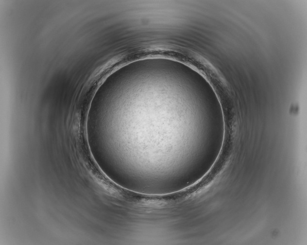 X0000091970825200709131336