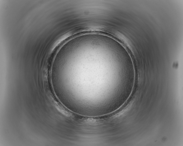 X0000091970827200709131336