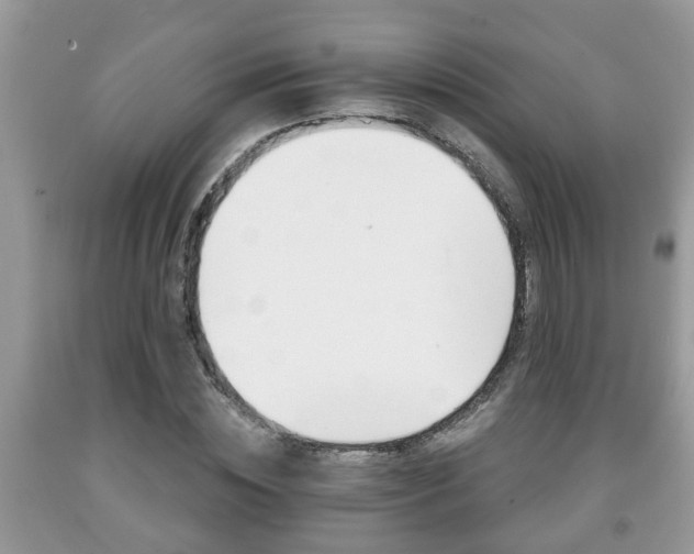 X0000091970828200709131336