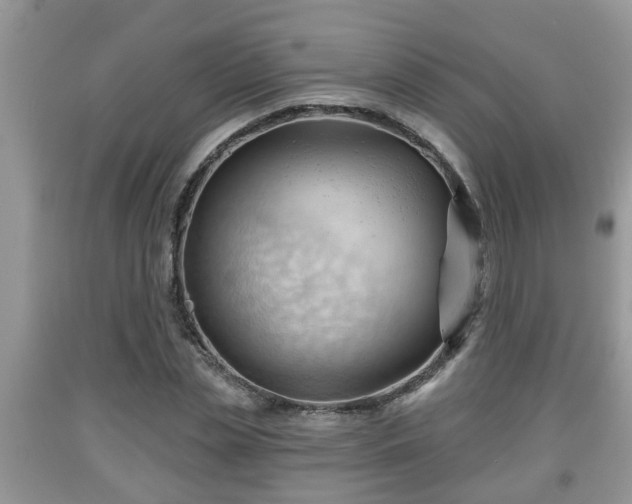X0000091970829200709131336