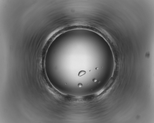 X0000091970830200709131336