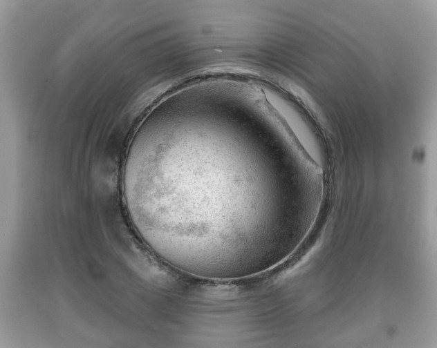 X0000091970833200709131336
