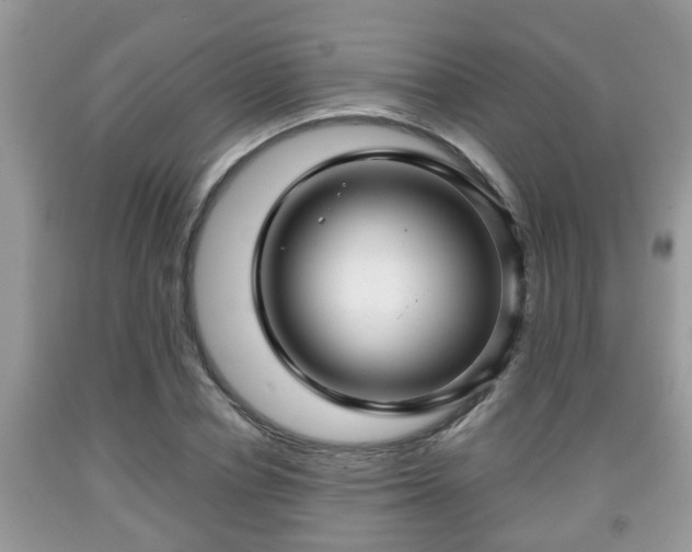 X0000091970834200709131336