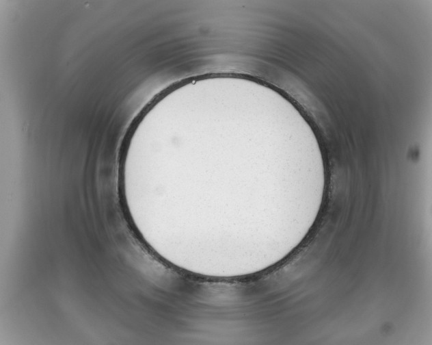 X0000091970836200709131336