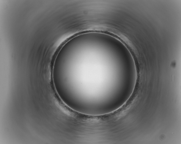 X0000091970838200709131336