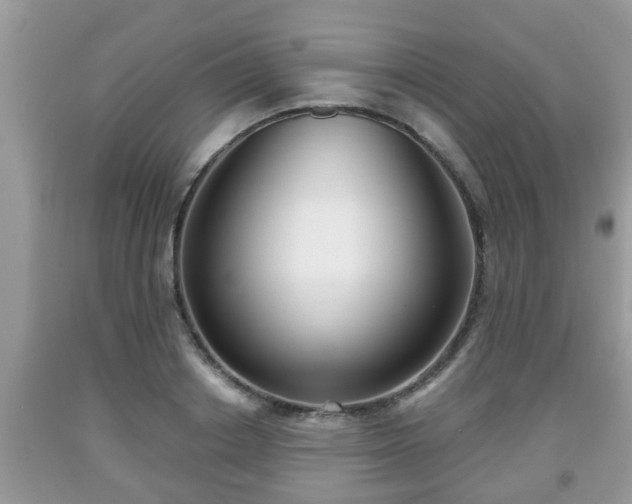 X0000091970842200709131336