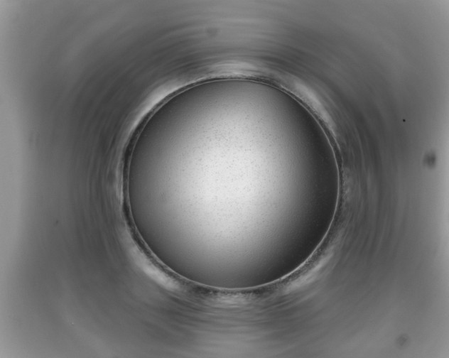 X0000091970843200709131336
