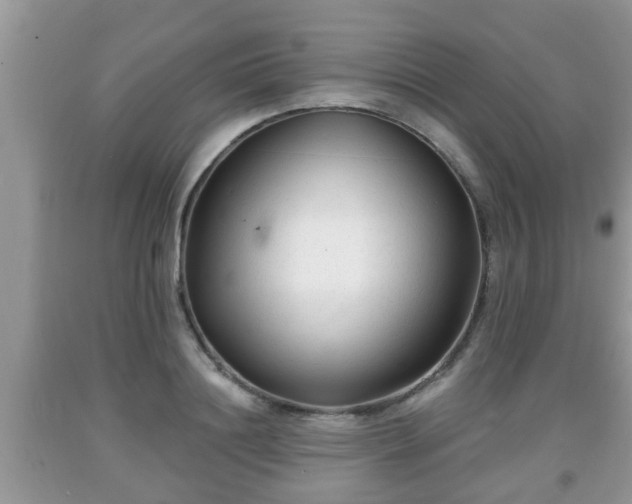 X0000091970844200709131336