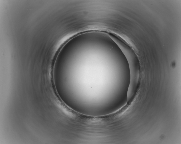 X0000091970846200709131336