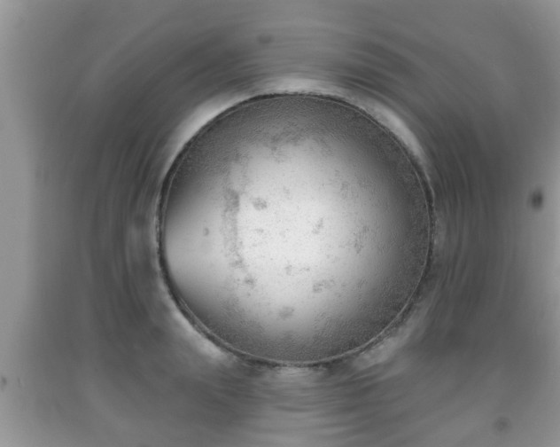 X0000091970847200709131336