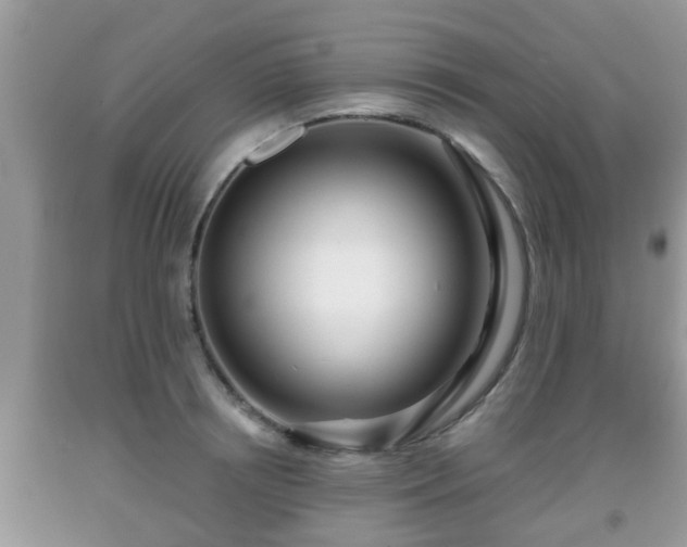 X0000091970850200709131336