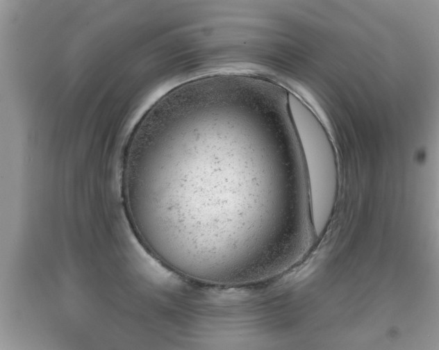 X0000091970851200709131336
