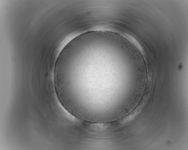 X0000091970855200709131337