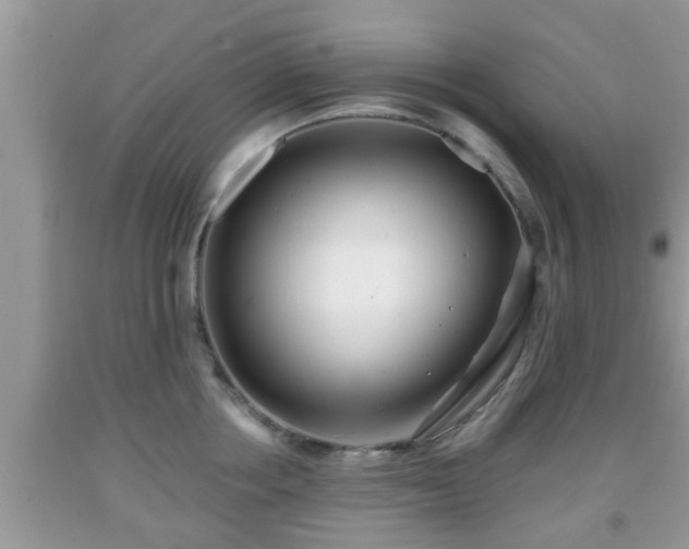 X0000091970858200709131337