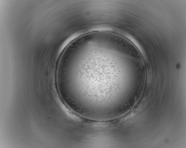 X0000091970861200709131337