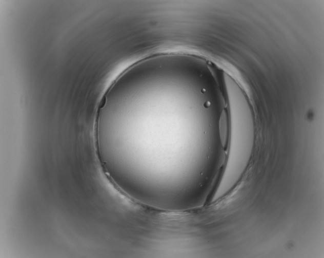 X0000091970863200709131337