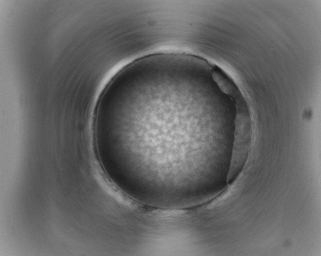 X0000091970864200709131337