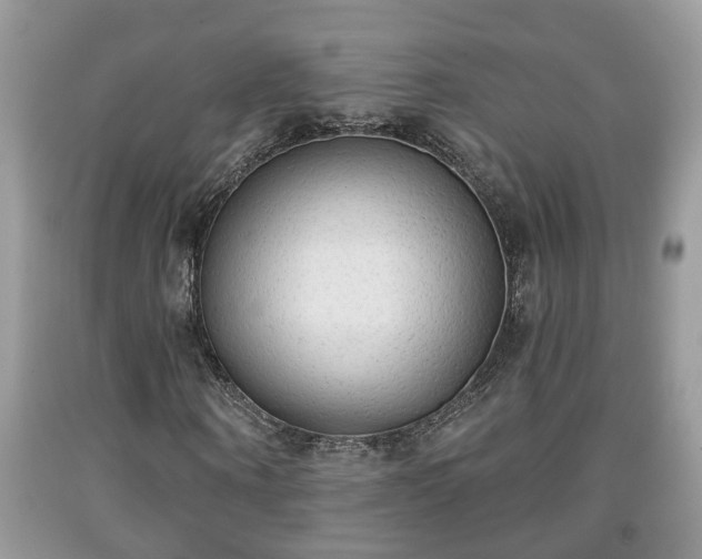 X0000091970866200709131336