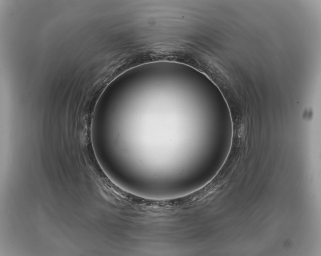 X0000091970868200709131336