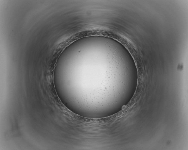X0000091970869200709131336